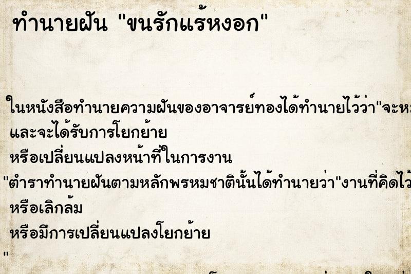 ทำนายฝัน ขนรักแร้หงอก ตำราโบราณ แม่นที่สุดในโลก