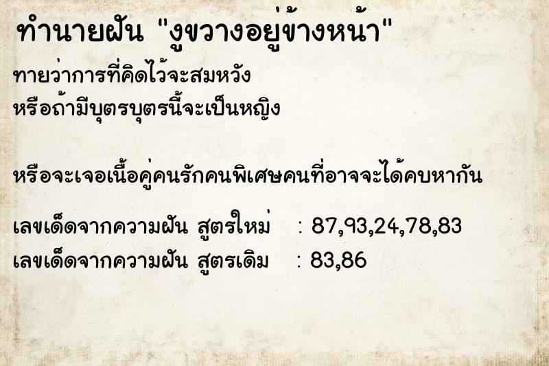 ทำนายฝันทำนายฝันงูขวางอยู่ข้างหน้า