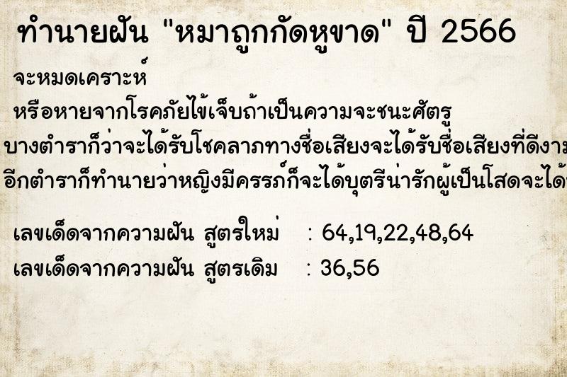 ทำนายฝันหมาถูกกัดหูขาด ทำนายฝันทำนายฝันหมาถูกกัดหูขาด