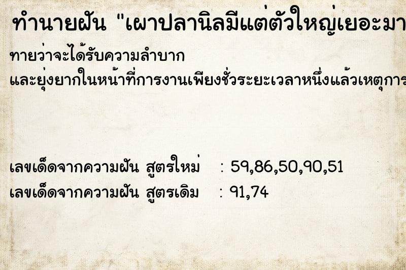 ทำนายฝันทำนายฝันเผาปลานิลมีแต่ตัวใหญ่เยอะมาก