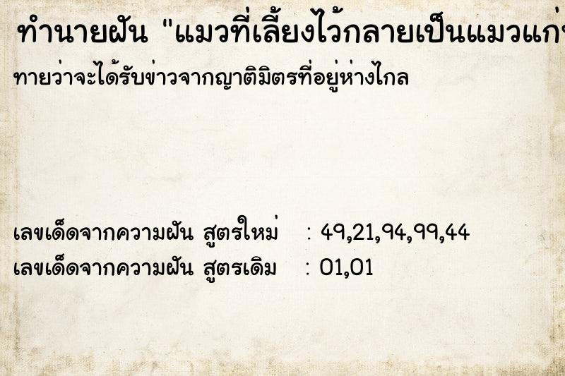 ทำนายฝัน แมวที่เลี้ยงไว้กลายเป็นแมวแก่พิการ