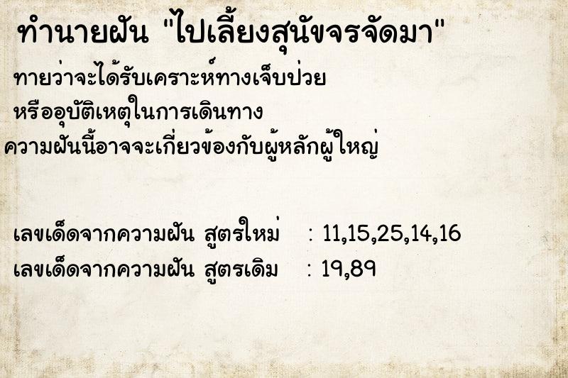 ทำนายฝันทำนายฝันไปเลี้ยงสุนัขจรจัดมา