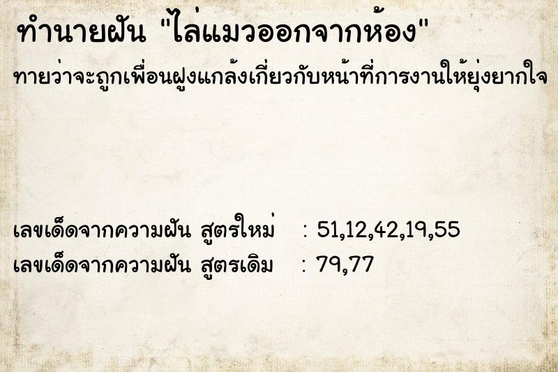 ทำนายฝัน ไล่แมวออกจากห้อง ทำนายฝัน ไล่แมวออกจากห้อง