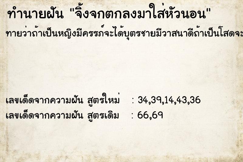 ทำนายฝันทำนายฝันจิ้งจกตกลงมาใส่หัวนอน