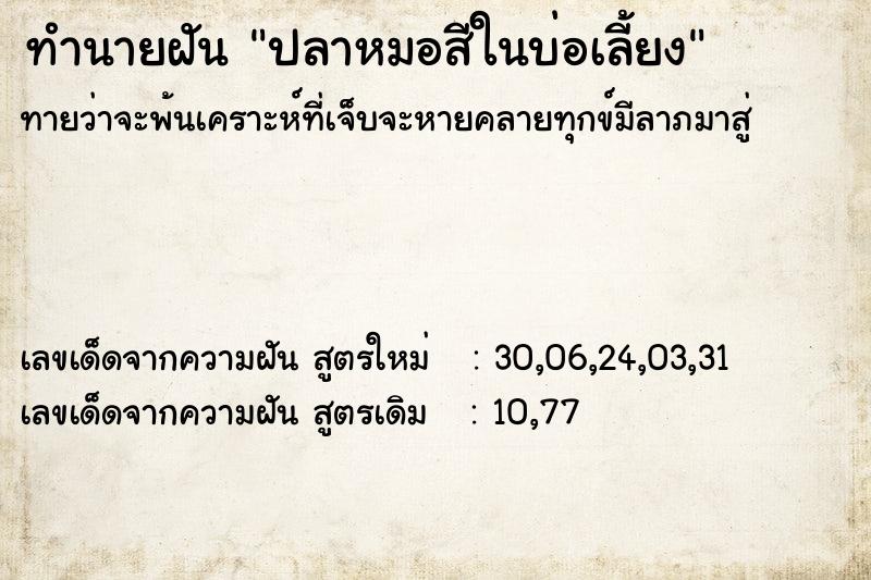 ทำนายฝันปลาหมอสีในบ่อเลี้ยง ทำนายฝันทำนายฝันปลาหมอสีในบ่อเลี้ยง
