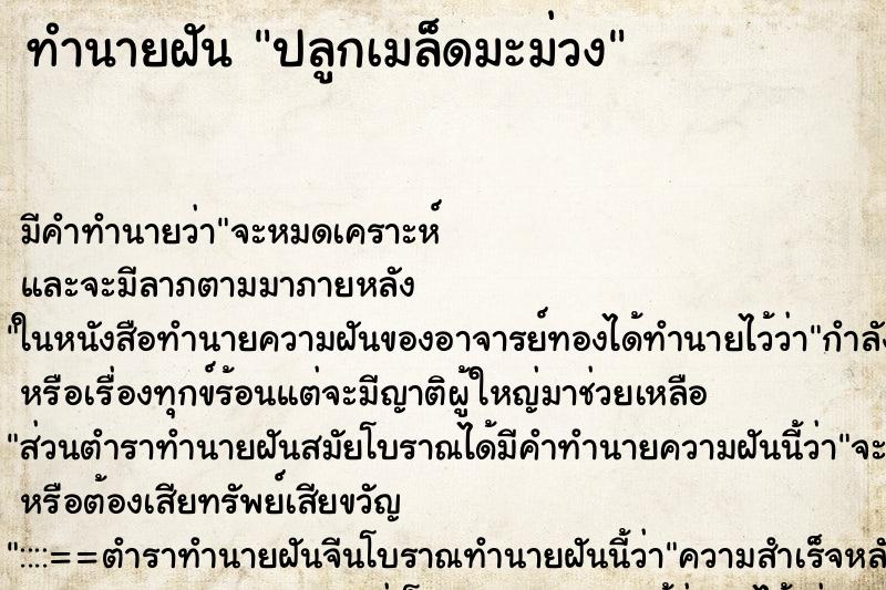 ทำนายฝัน ปลูกเมล็ดมะม่วง