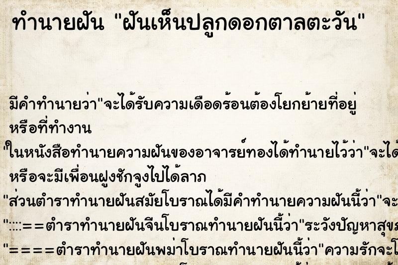 ทำนายฝัน ฝันเห็นปลูกดอกตาลตะวัน ทำนายฝัน ฝันเห็นปลูกดอกตาลตะวัน