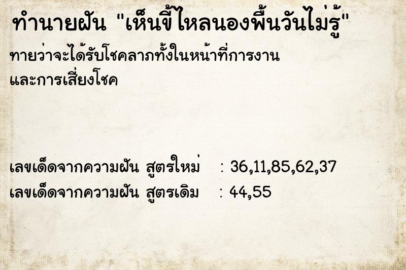 ทำนายฝันทำนายฝันเห็นขี้ไหลนองพื้นวันไม่รู้