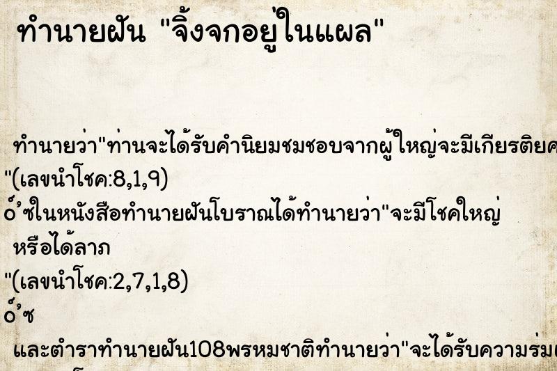 ทำนายฝัน จิ้งจกอยู่ในแผล