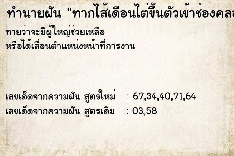 ทำนายฝันทำนายฝันทากไส้เดือนไต่ขึ้นตัวเข้าช่องคลอด