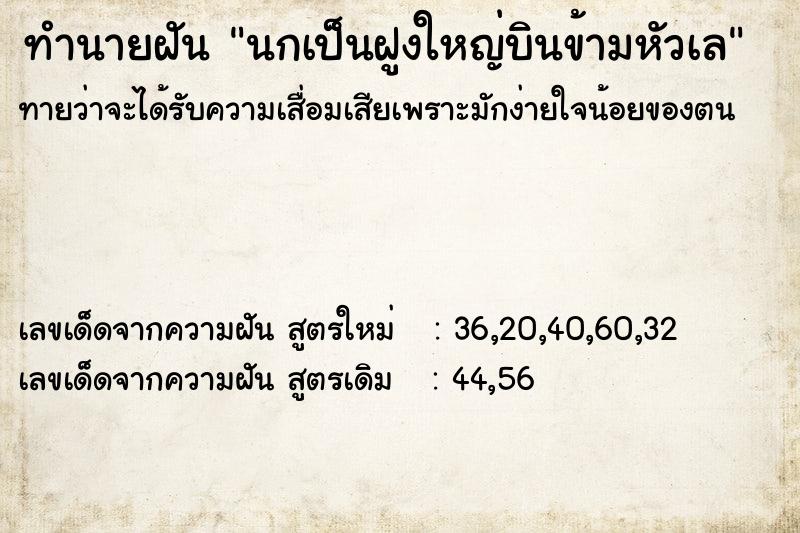 ทำนายฝันทำนายฝันนกเป็นฝูงใหญ่บินข้ามหัวเล