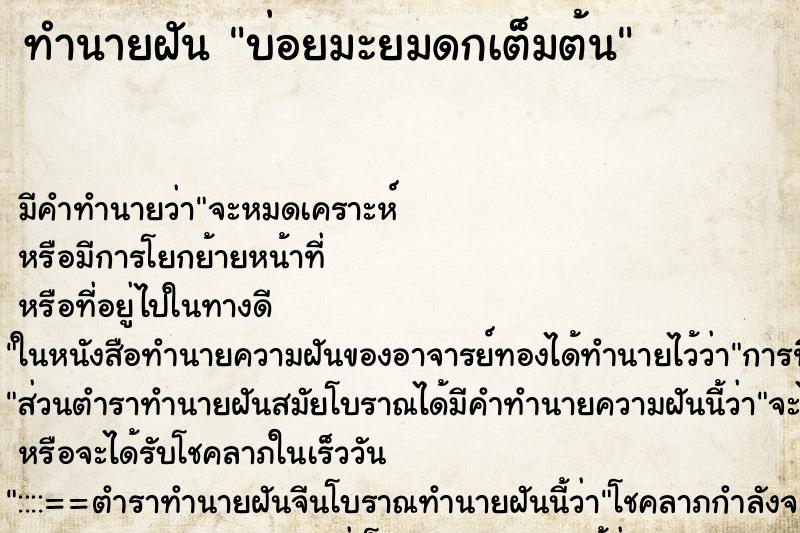 ทำนายฝัน บ่อยมะยมดกเต็มต้น ทำนายฝัน บ่อยมะยมดกเต็มต้น