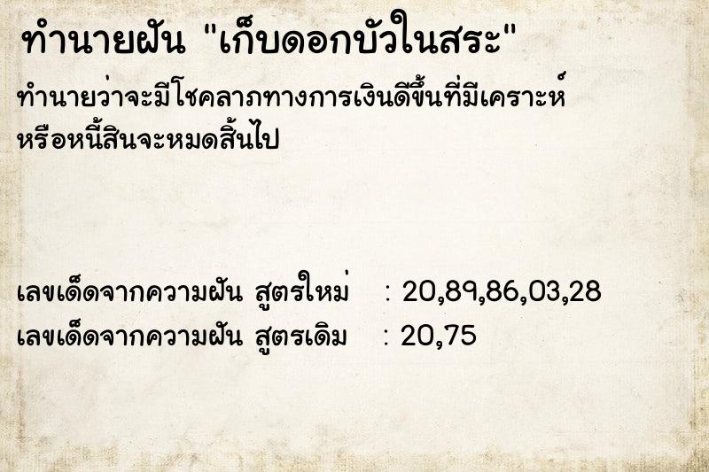 ทำนายฝันเก็บดอกบัวในสระ ทำนายฝันทำนายฝันเก็บดอกบัวในสระ