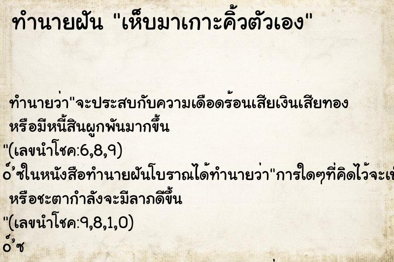 ทำนายฝัน เห็บมาเกาะคิ้วตัวเอง ทำนายฝัน เห็บมาเกาะคิ้วตัวเอง