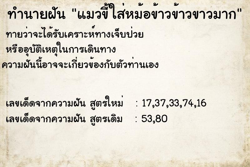ทำนายฝันทำนายฝันแมวขี้ใส่หม้อข้าวข้าวขาวมาก