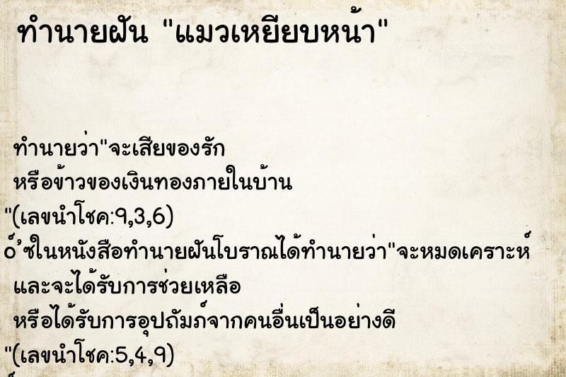 ทำนายฝันทำนายฝันแมวเหยียบหน้า