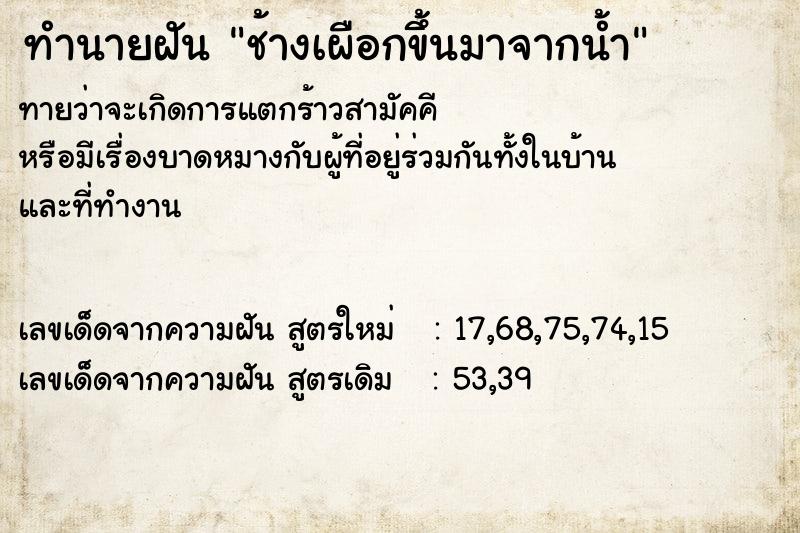 ทำนายฝันช้างเผือกขึ้นมาจากน้ำ ทำนายฝันทำนายฝันช้างเผือกขึ้นมาจากน้ำ