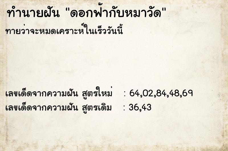 ทำนายฝัน ดอกฟ้ากับหมาวัด ทำนายฝัน ดอกฟ้ากับหมาวัด
