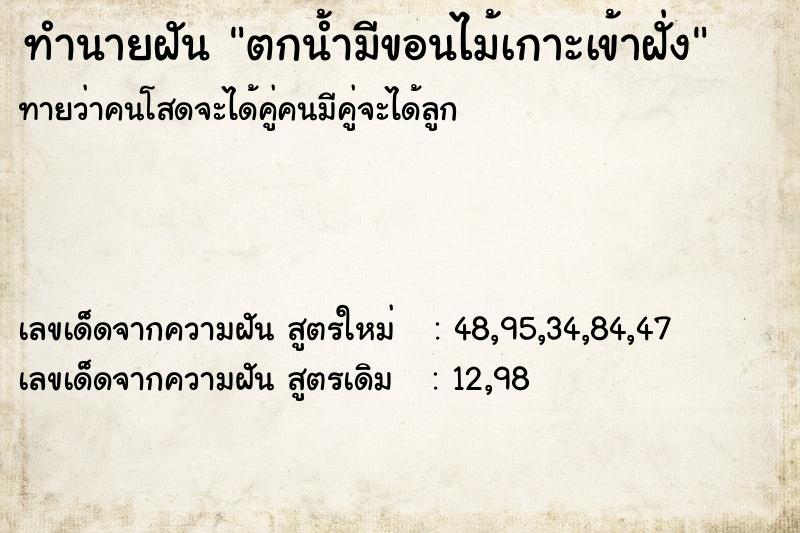 ทำนายฝันทำนายฝันตกน้ำมีขอนไม้เกาะเข้าฝั่ง