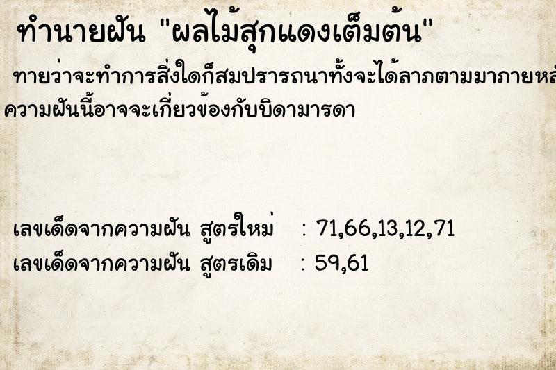 ทำนายฝันผลไม้สุกแดงเต็มต้น ทำนายฝันทำนายฝันผลไม้สุกแดงเต็มต้น