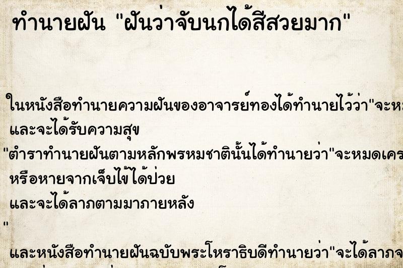 ทำนายฝัน ฝันว่าจับนกได้สีสวยมาก ทำนายฝัน ฝันว่าจับนกได้สีสวยมาก