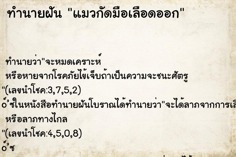 ทำนายฝัน แมวกัดมือเลือดออก