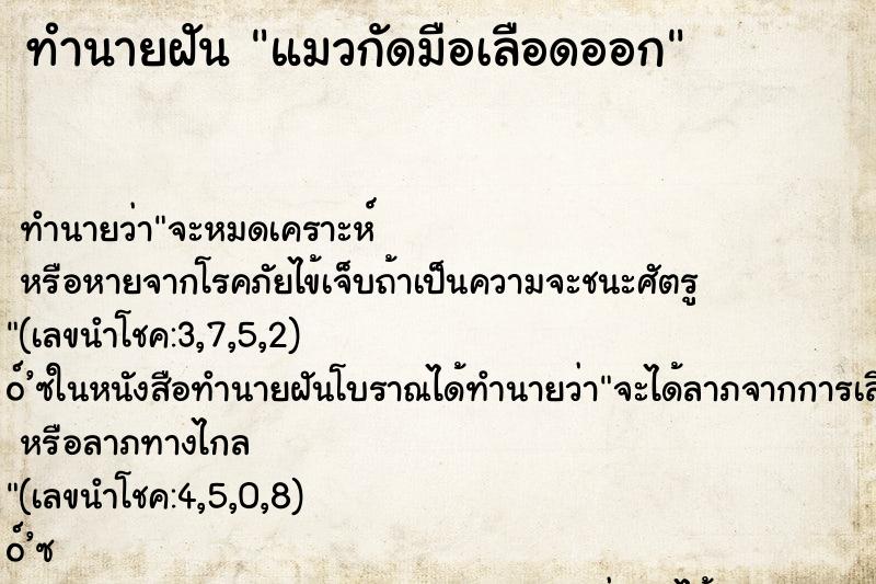 ทำนายฝัน แมวกัดมือเลือดออก ตำราโบราณ แม่นที่สุดในโลก