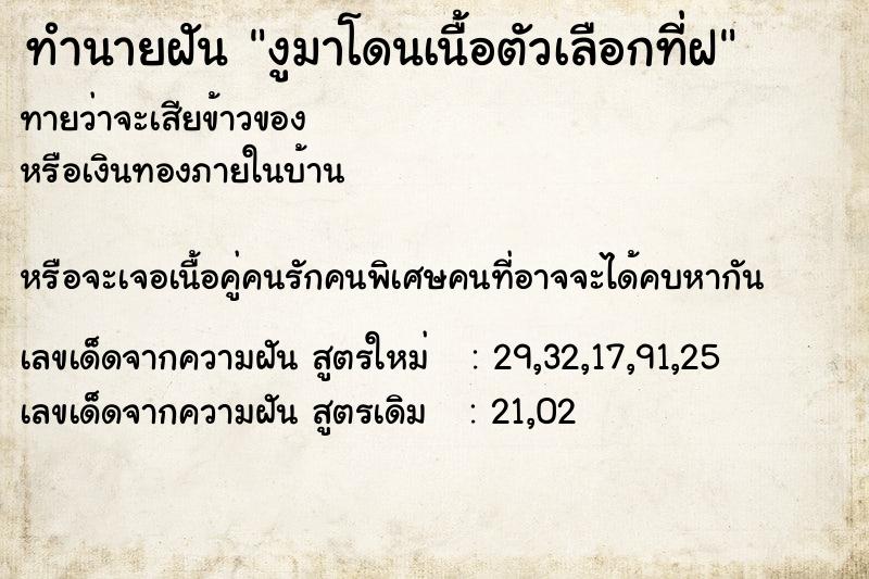 ทำนายฝันงูมาโดนเนื้อตัวเลือกที่ฝ ทำนายฝันทำนายฝันงูมาโดนเนื้อตัวเลือกที่ฝ