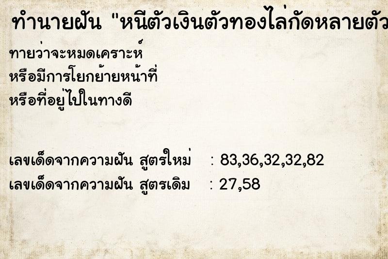 ทำนายฝันหนีตัวเงินตัวทองไล่กัดหลายตัว ทำนายฝันทำนายฝันหนีตัวเงินตัวทองไล่กัดหลายตัว