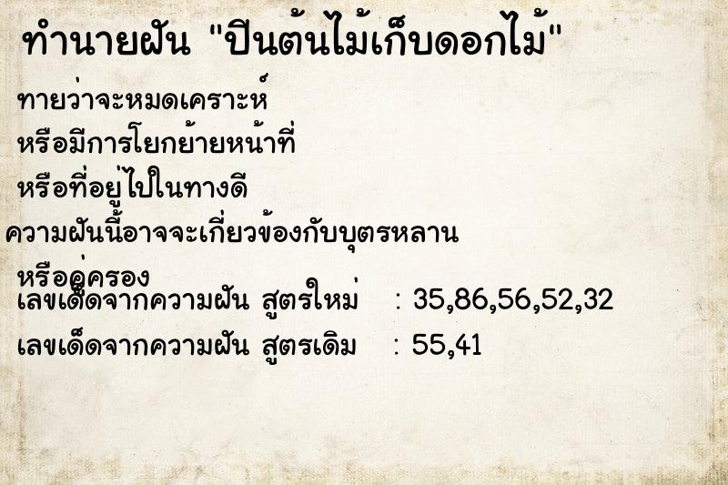 ทำนายฝัน ปีนต้นไม้เก็บดอกไม้ ทำนายฝัน ปีนต้นไม้เก็บดอกไม้