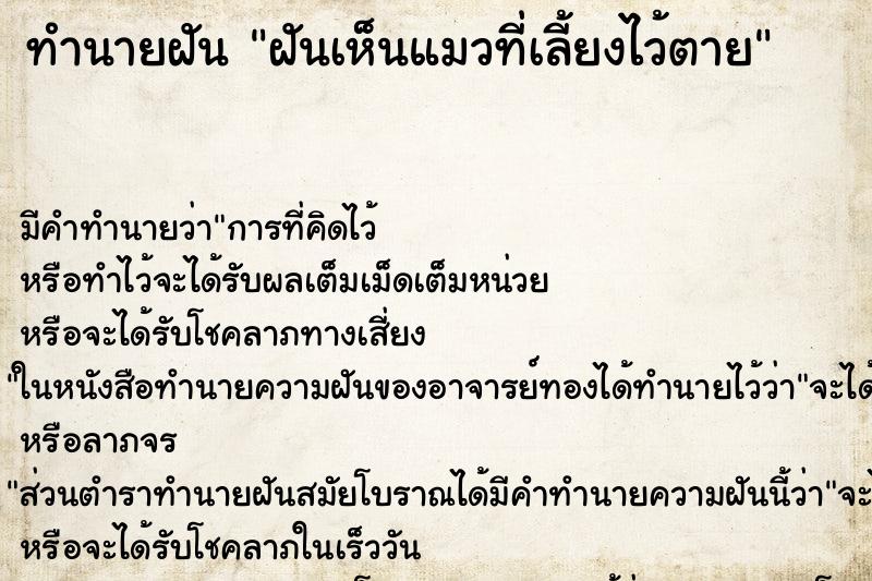 ทำนายฝัน ฝันเห็นแมวที่เลี้ยงไว้ตาย ทำนายฝัน ฝันเห็นแมวที่เลี้ยงไว้ตาย