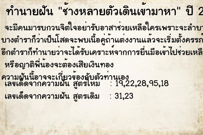 ทำนายฝัน ช้างหลายตัวเดินเข้ามาหา ทำนายฝัน ช้างหลายตัวเดินเข้ามาหา