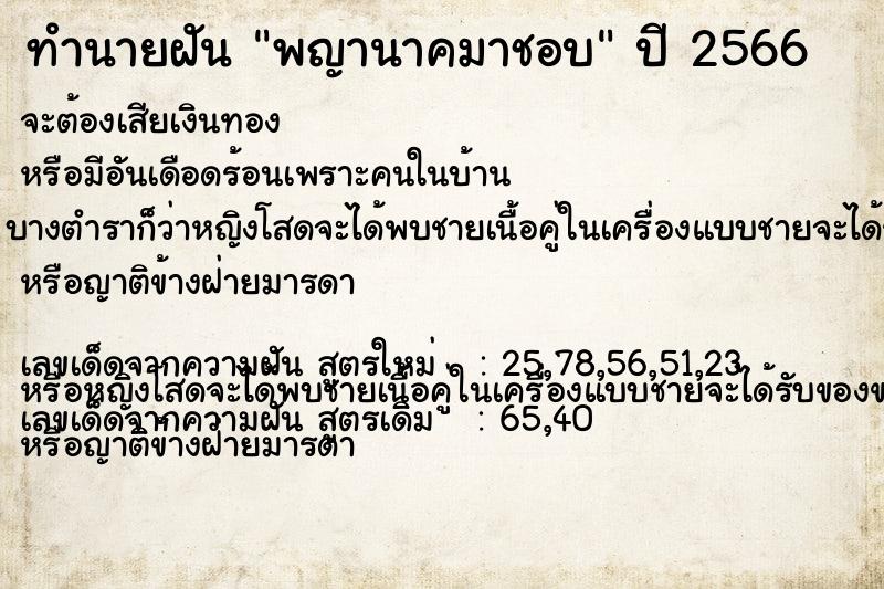 ทำนายฝันพญานาคมาชอบ ทำนายฝันทำนายฝันพญานาคมาชอบ