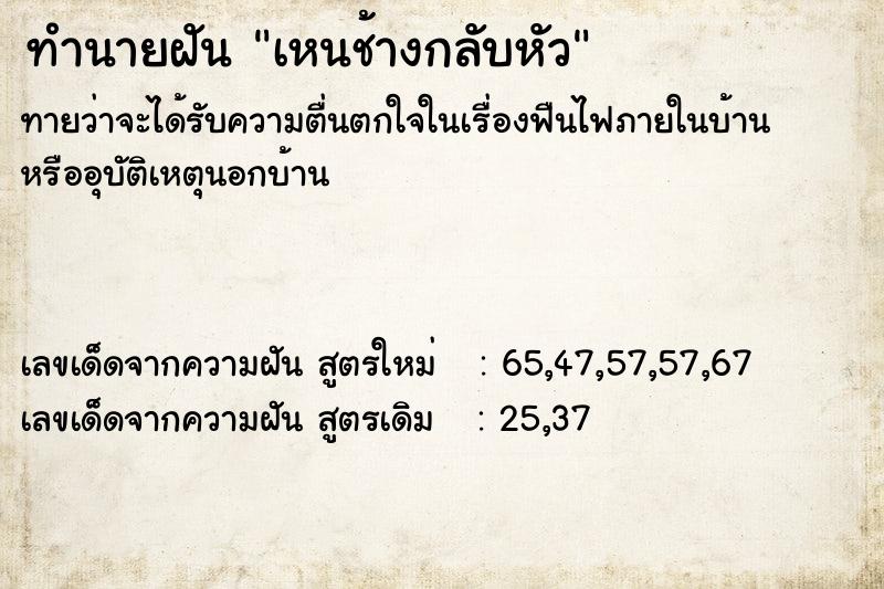 ทำนายฝันเหนช้างกลับหัว ทำนายฝันทำนายฝันเหนช้างกลับหัว