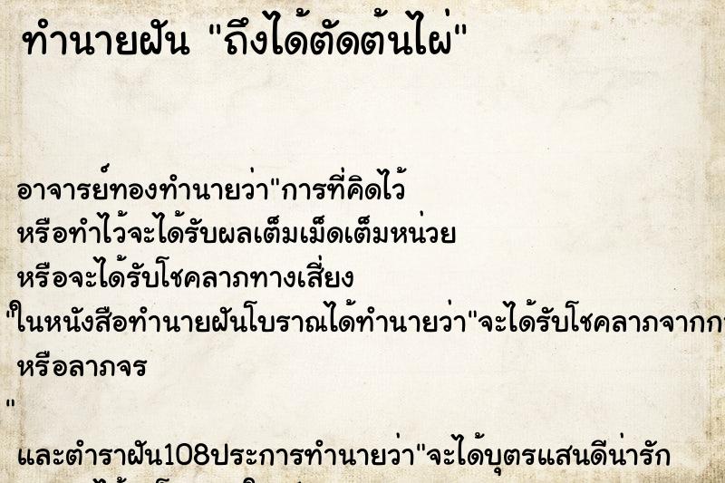 ทำนายฝันทำนายฝันถึงได้ตัดต้นไผ่