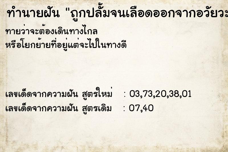 ทำนายฝันทำนายฝันถูกปลั้มจนเลือดออกจากอวัยวะเพศ