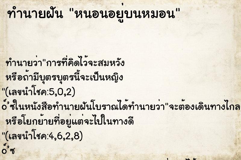 ทำนายฝันหนอนอยู่บนหมอน ทำนายฝันทำนายฝันหนอนอยู่บนหมอน
