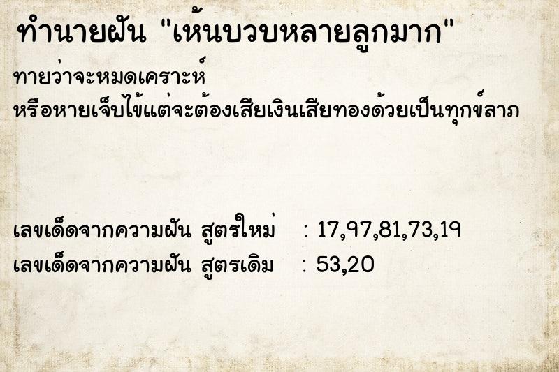 ทำนายฝันทำนายฝันเห้นบวบหลายลูกมาก