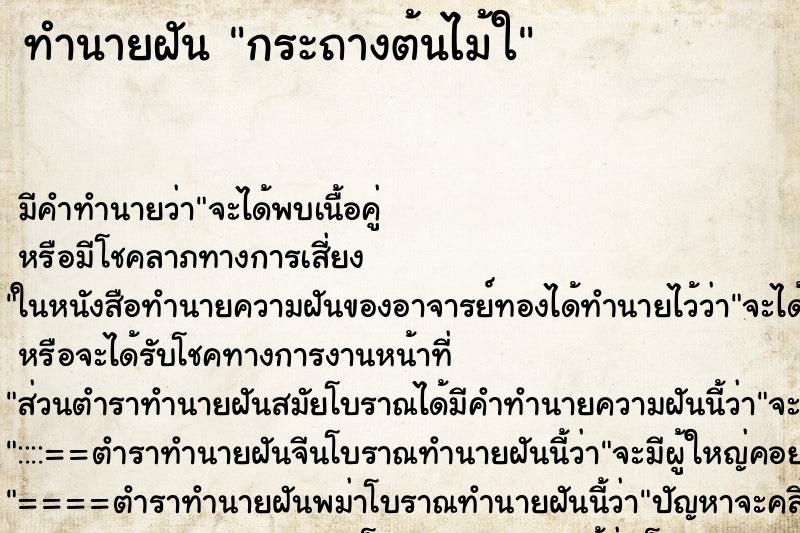 ทำนายฝัน กระถางต้นไม้ใ ทำนายฝัน กระถางต้นไม้ใ