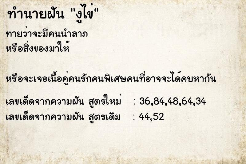 ทำนายฝันงูไข่ ทำนายฝันทำนายฝันงูไข่