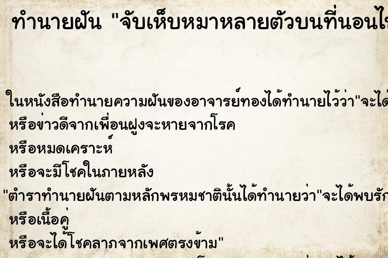 ทำนายฝัน จับเห็บหมาหลายตัวบนที่นอนไปบี้ ทำนายฝัน จับเห็บหมาหลายตัวบนที่นอนไปบี้