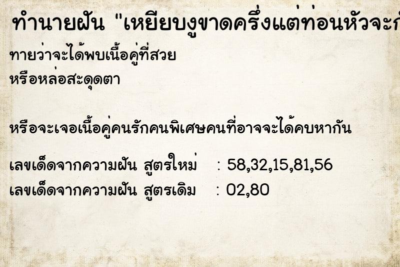 ทำนายฝัน เหยียบงูขาดครึ่งแต่ท่อนหัวจะกัดเรา ทำนายฝัน เหยียบงูขาดครึ่งแต่ท่อนหัวจะกัดเรา