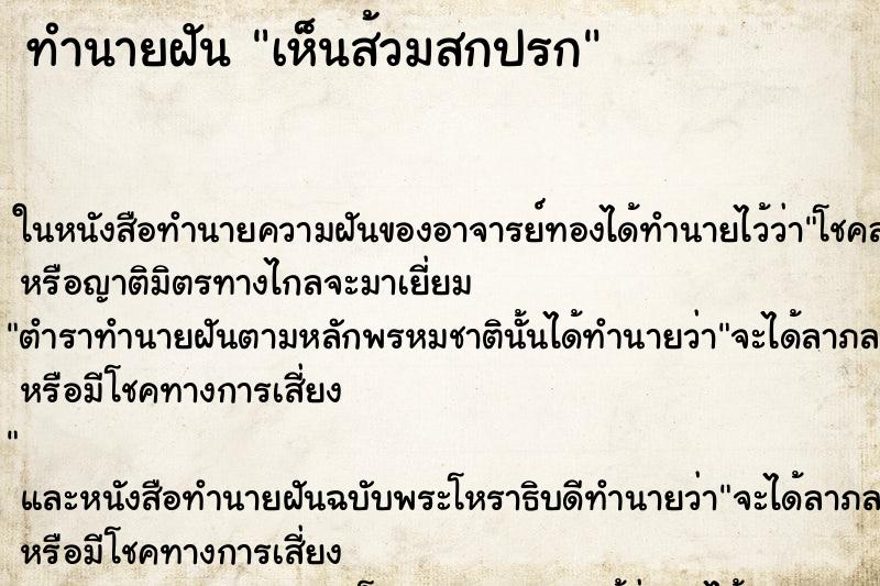 ทำนายฝัน เห็นส้วมสกปรก ทำนายฝัน เห็นส้วมสกปรก