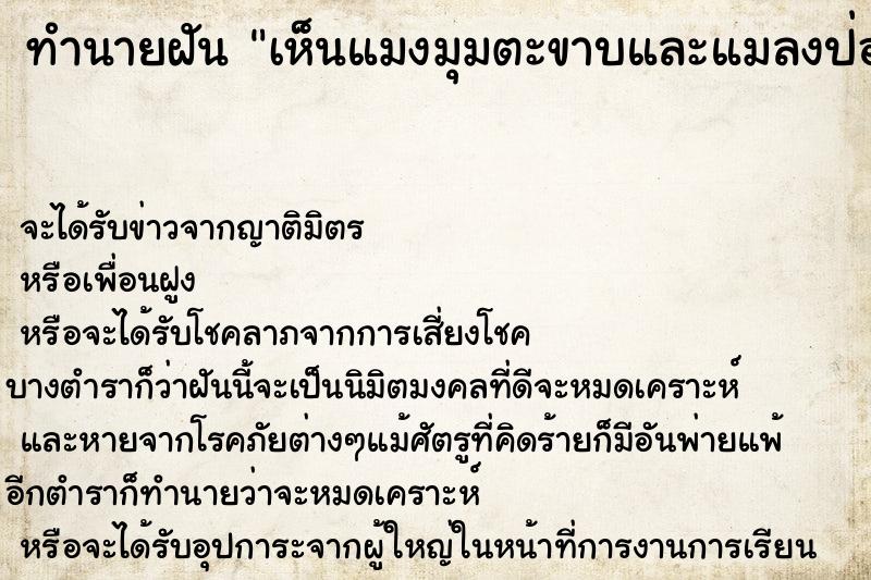 ทำนายฝันทำนายฝันเห็นแมงมุมตะขาบและแมลงป่อง