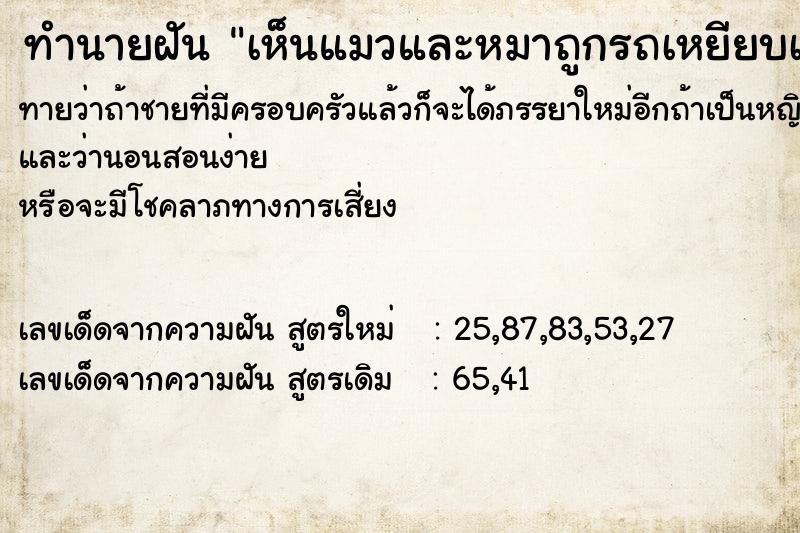 ทำนายฝันทำนายฝันเห็นแมวและหมาถูกรถเหยียบเนื้อพ่านบนถนน