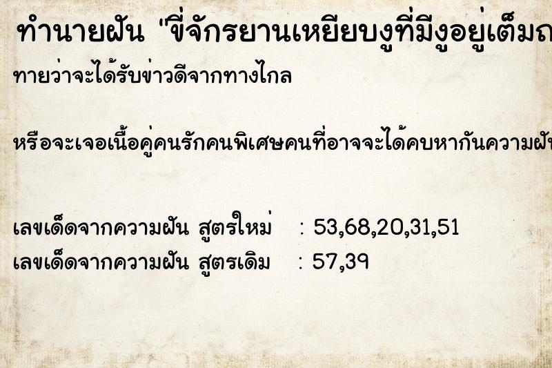 ทำนายฝันทำนายฝันขี่จักรยานเหยียบงูที่มีงูอยู่เต็มถนน