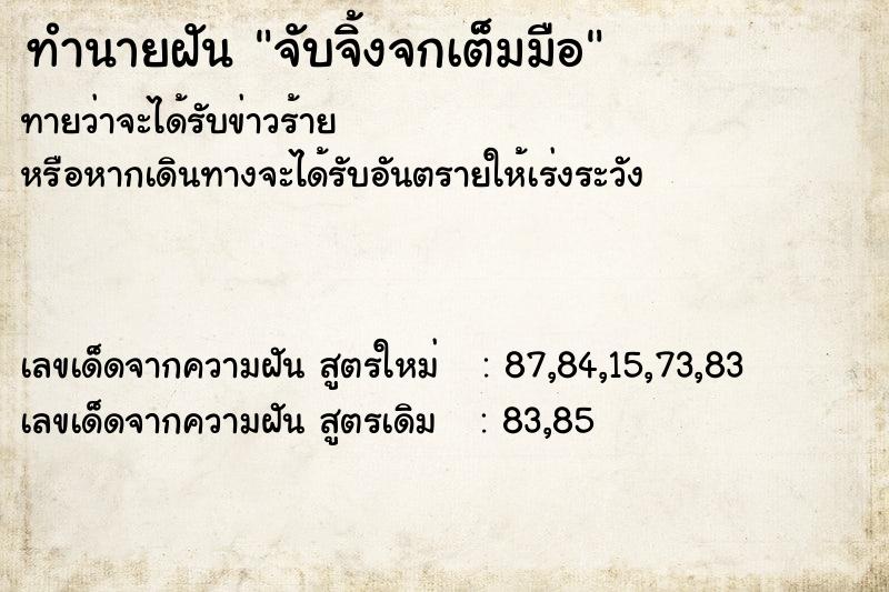 ทำนายฝันทำนายฝันจับจิ้งจกเต็มมือ