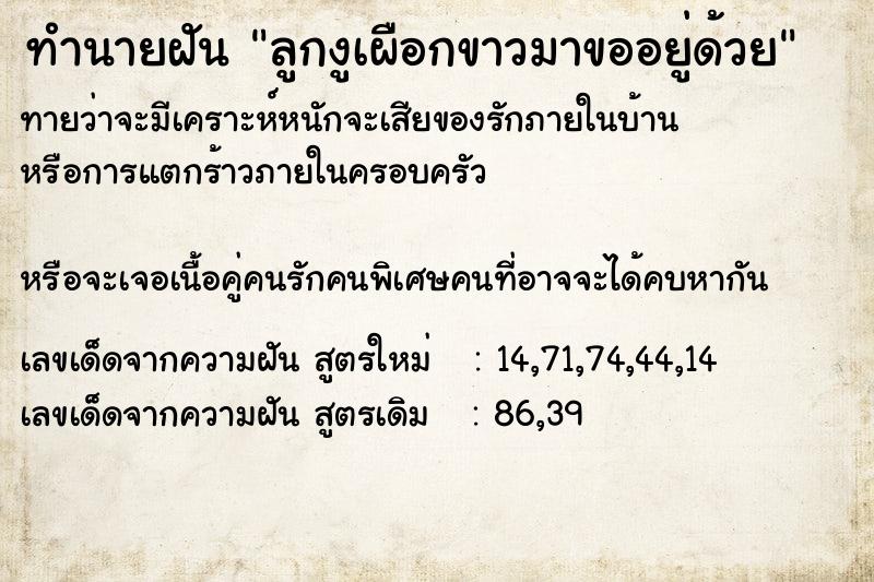 ทำนายฝันลูกงูเผือกขาวมาขออยู่ด้วย ทำนายฝันทำนายฝันลูกงูเผือกขาวมาขออยู่ด้วย