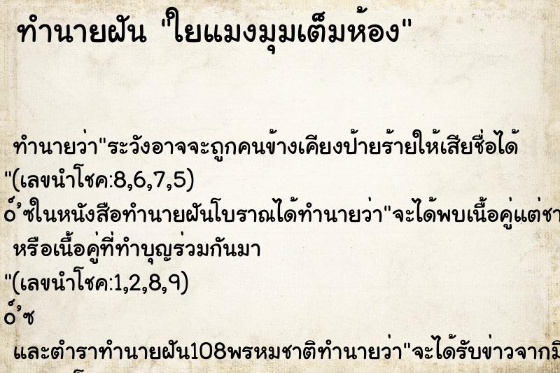 ทำนายฝัน ใยแมงมุมเต็มห้อง