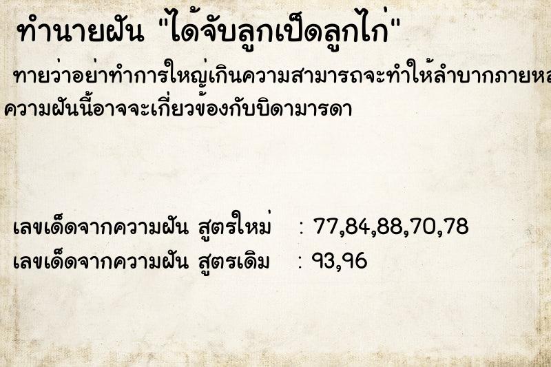 ทำนายฝันได้จับลูกเป็ดลูกไก่ ทำนายฝันทำนายฝันได้จับลูกเป็ดลูกไก่
